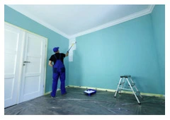 Best House Painting in Ngongotahā Valley