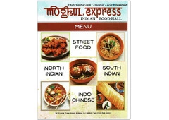 Savor the Street Food of India Menu – Authentic Flavors at Moghul Express
