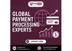 Global Payment Processing Expert