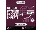 Global Payment Processing Expert