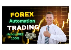 Let the Market Work for You: Forex Passive Income Basics