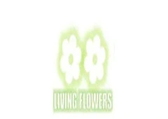florist essendon north - Living Flowers