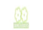 florist essendon north - Living Flowers
