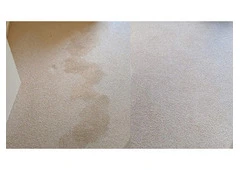 Best service for Rug Cleaning in Sutherland
