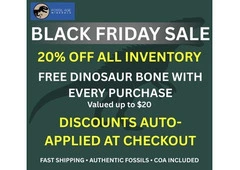 Huge Fossil Deals: 20% Off Storewide + Bonus Gift Inside