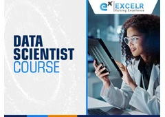 Data Scientist Course for Beginners and Professionals