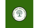 Sturdy Tree Solutions LLC