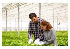 Winery Tax CPA Central Coast, Napa