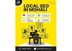 Boost Your Business with Expert Local SEO in Mohali – Blink N Boost