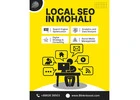 Boost Your Business with Expert Local SEO in Mohali – Blink N Boost