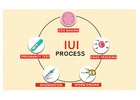 IUI Treatment Cost in Delhi - Dr Rhythm Gupta