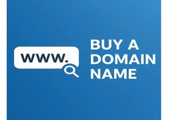 Buying a domain name