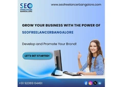 SEO Freelancer in Bangalore for Affordable & Reliable SEO Solutions | seofreelancerbangalore.com
