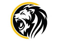 Professional Digital Marketing Agency UAE