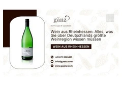Wein aus Rheinhessen: Alles, was Sie über Deutschlands größte Weinregion wissen müssen