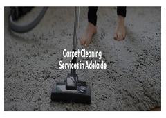 Get a 14-day satisfaction guarantee with all-inclusive Carpet Cleaning Services Adelaide