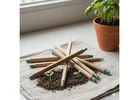 Seed Pens & Plantable Pencils – Sustainable Eco-Friendly Stationery