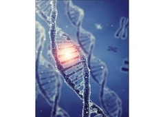 Placental Biologics for Physicians: Advanced Regenerative Solutions