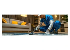 Need Professional Carpet Cleaning in Adelaide? We’ve Got You Covered