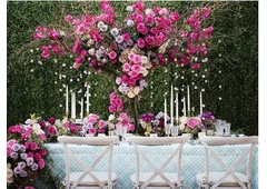 Make your private or business events most memorable with Party Planner Lithonia