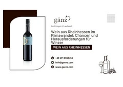 Wein aus Rheinhessen im Klimawandel: Chancen und Herausforderungen für Winzer