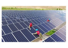 Cut Your Business Electricity Bills with Commercial Solar Panels