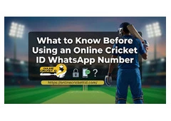 What to Know Before Using an Online Cricket ID WhatsApp Number