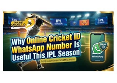 Why Online Cricket ID WhatsApp Number Is Useful This IPL Season