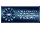 Best Astrologer in Nilgiris