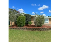 Best Service for Garden Maintenance in Ashmore