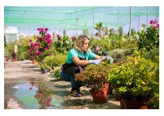 Affordable Garden Landscaping in Gurgaon Services