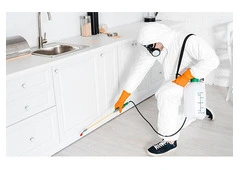 Reliable Pest Control Experts in Spring Farm