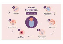 IVF Treatment In Delhi - Dr Rhythm Gupta