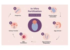 IVF Treatment In Delhi - Dr Rhythm Gupta
