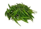 Best Green Chilli Suppliers in Maharashtra