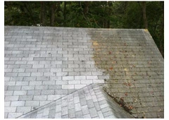 Pressure Roof Cleaning Sedgefield