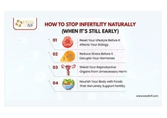 How to Stop Infertility? Simple Steps That Help?