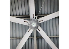 Powerful Airflow Solutions by Wind Fan in Ahmedabad