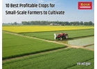 Boost Your Farm Yield with the Best Tractors for Small-Scale Crops