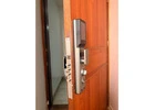 Electronic door locks