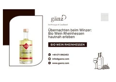 Übernachten beim Winzer: Bio Wein Rheinhessen hautnah erleben