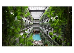 Presupuesto jardín Vertical