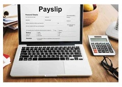 Want an Online Paystub Generator That Works Instantly?