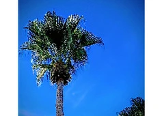 Free File Storage and Free AI Generation