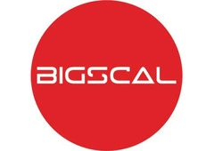 Bigscal The Ultimate Software Development Company