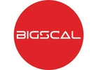 Bigscal The Ultimate Software Development Company
