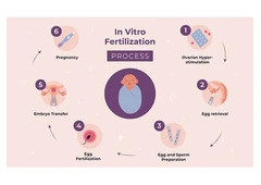 IVF Treatment Cost In Delhi - Dr Rhythm Gupta
