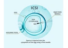 ICSI Treatment in Delhi - Dr Rhythm Gupta