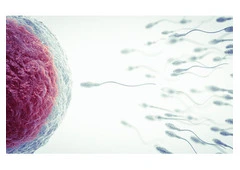 IUI Treatment Cost in Delhi - Dr Rhythm Gupta