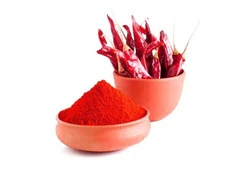 Red Chilli Powder Suppliers in Mumbai